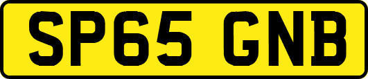 SP65GNB