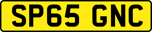 SP65GNC