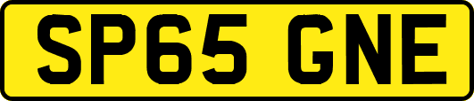 SP65GNE