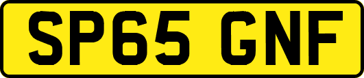 SP65GNF
