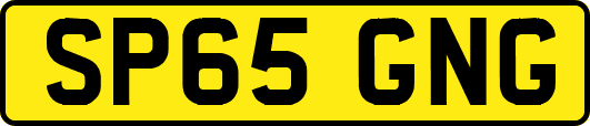 SP65GNG