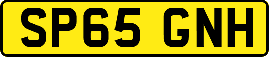 SP65GNH