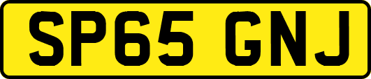 SP65GNJ