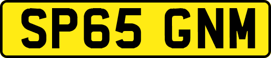 SP65GNM