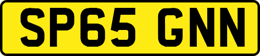 SP65GNN