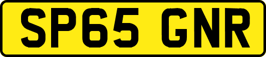 SP65GNR