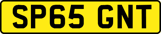 SP65GNT