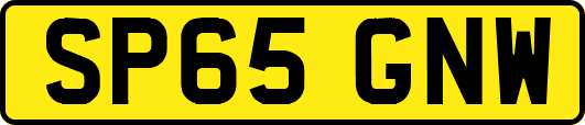 SP65GNW