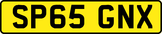 SP65GNX