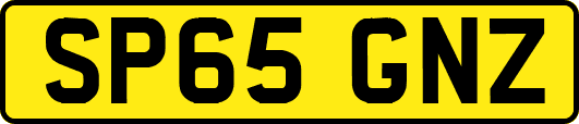 SP65GNZ