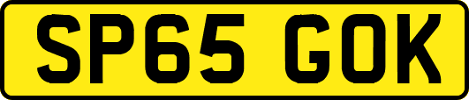 SP65GOK