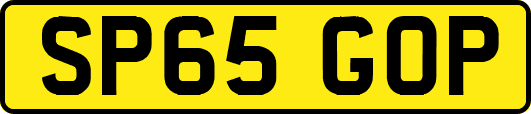 SP65GOP