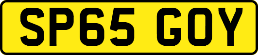 SP65GOY