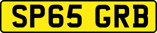 SP65GRB