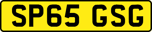 SP65GSG