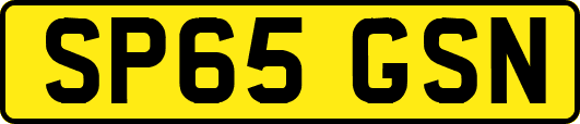 SP65GSN