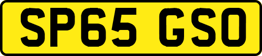 SP65GSO