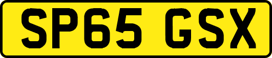 SP65GSX