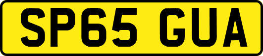 SP65GUA