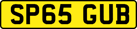 SP65GUB