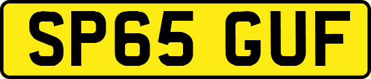 SP65GUF