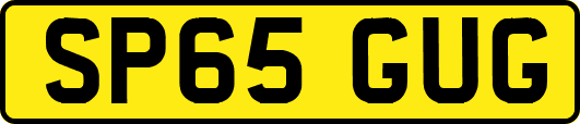 SP65GUG