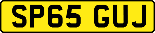SP65GUJ