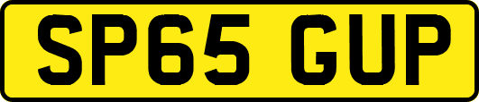 SP65GUP