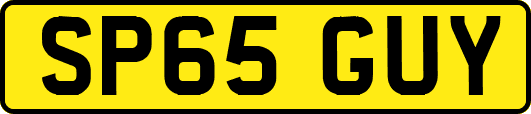 SP65GUY