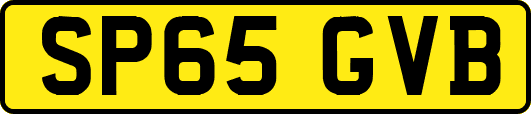 SP65GVB
