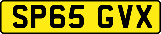 SP65GVX