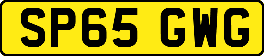 SP65GWG
