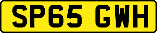 SP65GWH