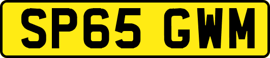 SP65GWM
