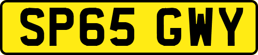 SP65GWY
