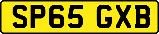 SP65GXB