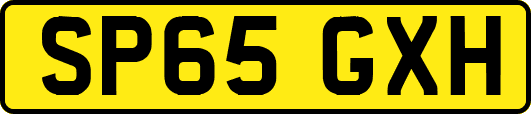 SP65GXH