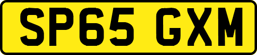 SP65GXM