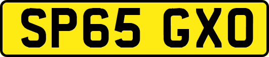 SP65GXO