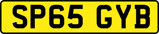 SP65GYB