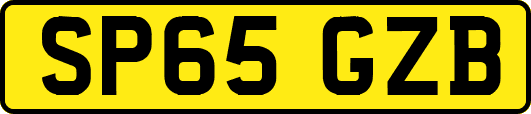 SP65GZB