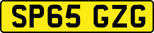 SP65GZG