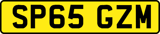 SP65GZM