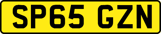 SP65GZN
