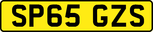 SP65GZS