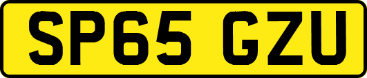 SP65GZU