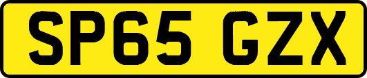 SP65GZX