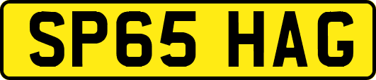 SP65HAG