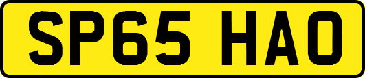 SP65HAO