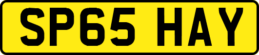 SP65HAY